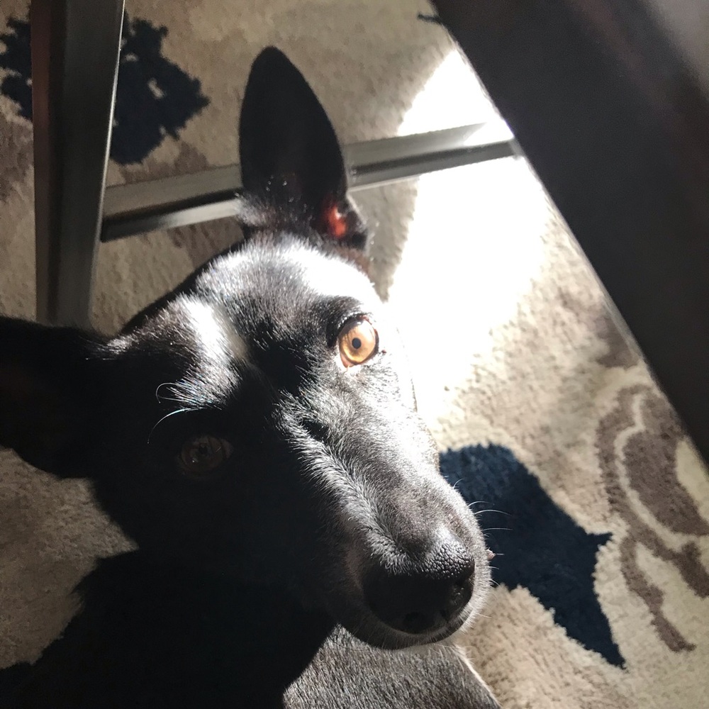 Meet your Posher, Mae